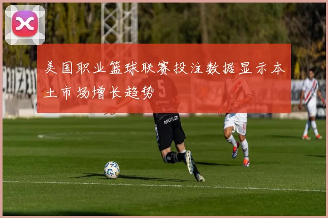 美国职业篮球联赛投注数据显示本土市场增长趋势