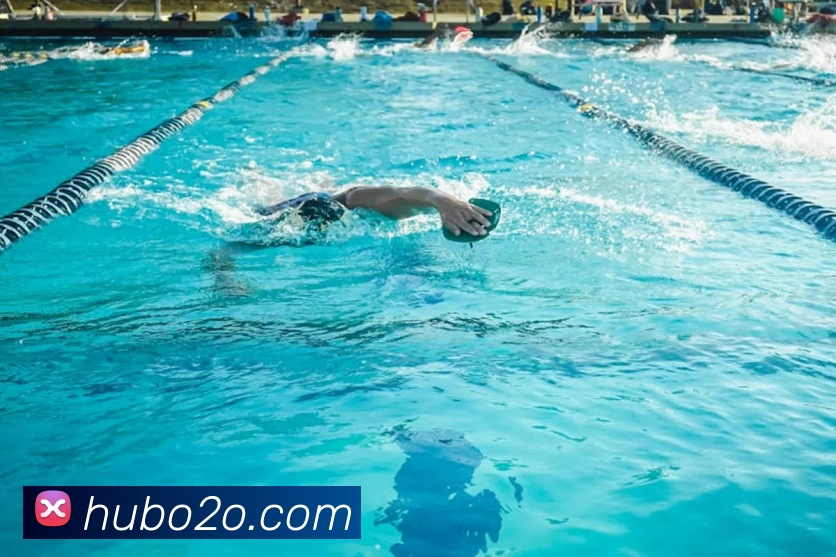 App Interface Preview